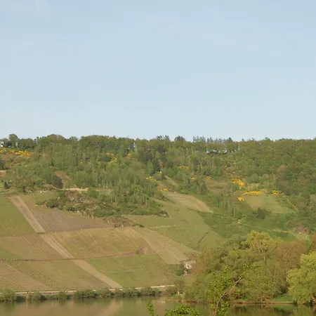 Сasa de vacaciones Vakantiehuis Roos Kröv